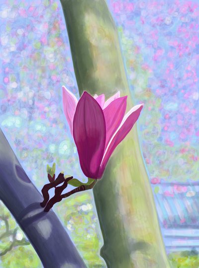 玉兰花（数字艺术） 作者 埃文·斯克拉