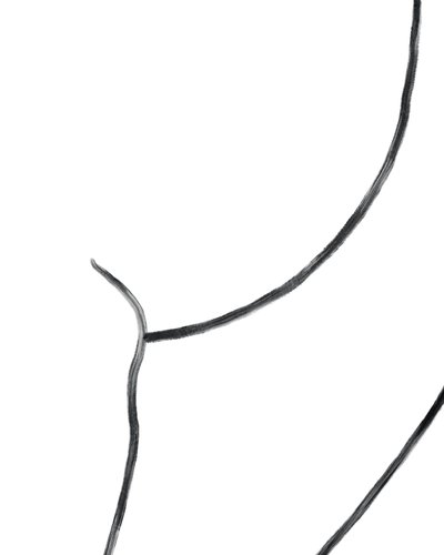 裸体。(数字艺术） 作者 埃文·斯克拉
