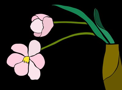 作者 埃文·斯克拉