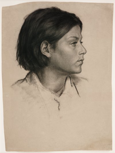 一个女人的头像，约 1875 年（纸上炭笔） 作者 伊夫林·德·摩根（Evelyn De Morgan）