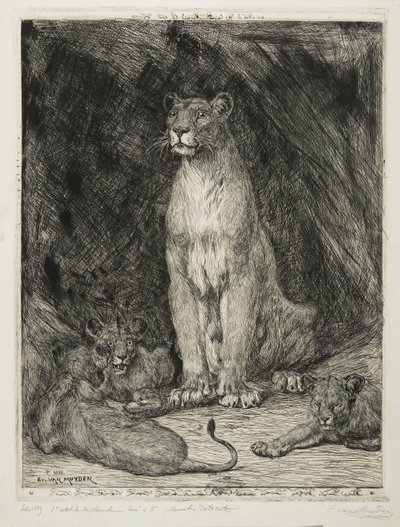 母狮坐着和三只幼崽，1888年 作者 埃弗特·范·穆登