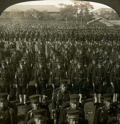 日本步兵参加天皇生日回顾，日本东京。 作者 精益立体视镜之旅