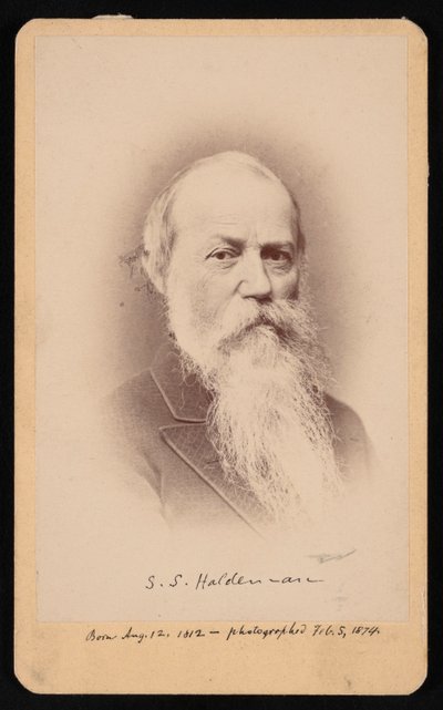 塞缪尔-斯特曼-霍德曼1812-1880年的肖像，1874年2月5日。 作者 FA Wenderoth and Co