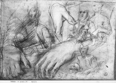 Ippolito della Rovere（黑色，红色和白色粉笔在纸上）肖像的手研究 作者 费德里科·菲奥里（Federico Fiori）Barocci或Baroccio