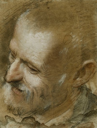 1590年大胡子男人的头部向左转的研究 作者 费德里科·菲奥里（Federico Fiori）Barocci或Baroccio