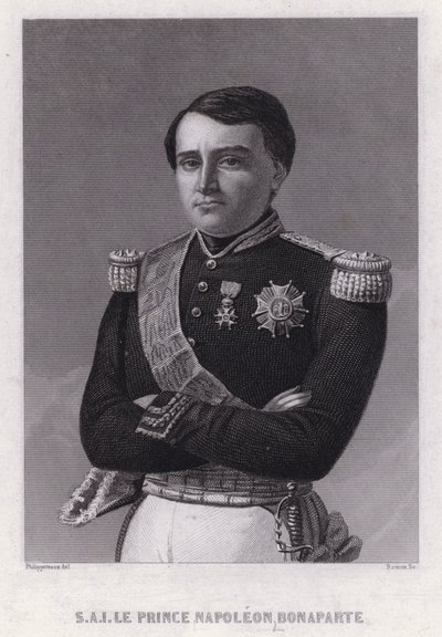 Prince Napoleon Bonaparte, son of Jerome, King of Westphalia, youngest brother of the Emperor Napoleon I (engraving) 作者 菲利克斯（后）菲利普波特