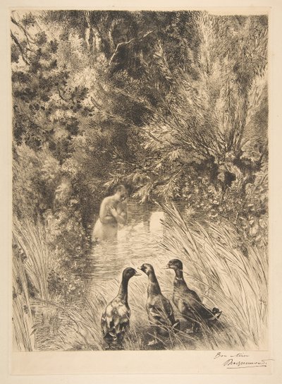 鸭子感到惊讶，1882年。 作者 费利克斯·布拉克蒙德