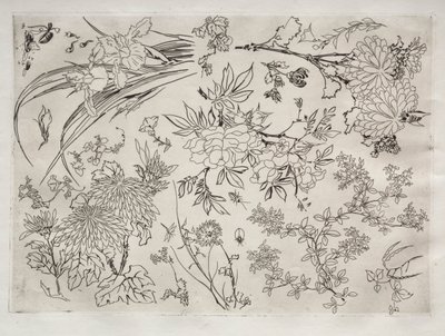 晚餐服务（卢梭服务）：鲜花（第 23 号） 作者 费利克斯·布拉克蒙德