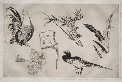 晚餐服务（卢梭服务）：公鸡、鳐鱼、植物等（第 9 号） 作者 费利克斯·布拉克蒙德