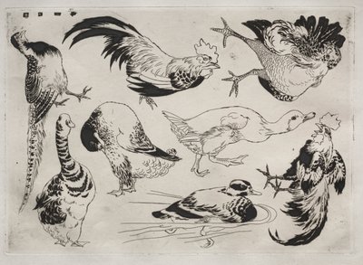 晚餐服务卢梭服务：公鸡，鸭等。 1866年13月13日。 作者 费利克斯·布拉克蒙德