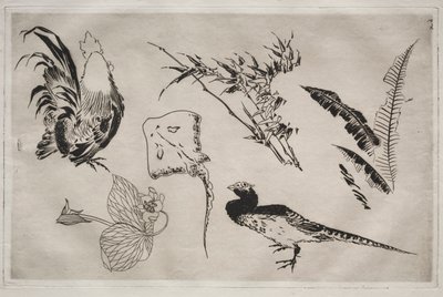 晚餐服务卢梭服务：公鸡，溜冰鞋，植物等。 1866年9月9日。 作者 费利克斯·布拉克蒙德
