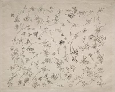 花朵图案的盘子和边框没有。 1872年4月14日。 作者 费利克斯·布拉克蒙德