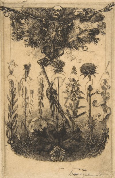 Les Fleurs du Mal》的封面画，1857年。 作者 费利克斯·布拉克蒙德