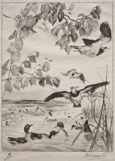 田p和小野鸭，1862年。 作者 费利克斯·布拉克蒙德