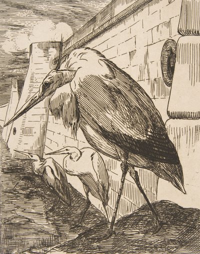 Les Cigognes, 1870s., 1870s. 作者 费利克斯·布拉克蒙德