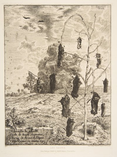 854鼠，1854年。 作者 费利克斯·布拉克蒙德