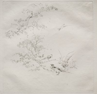 巴黎服务（哈维兰服务） 作者 费利克斯·布拉克蒙德