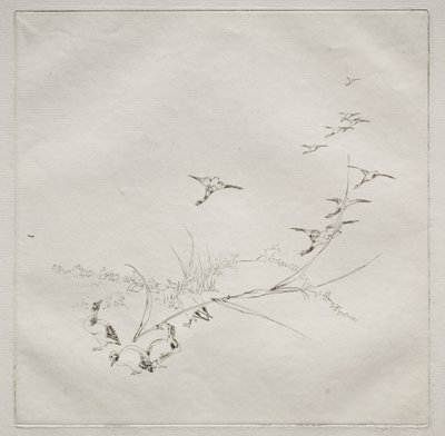 巴黎服务（哈维兰服务）：阳光下的权利（第 9 号） 作者 费利克斯·布拉克蒙德