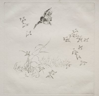 巴黎服务（哈维兰服务）：恐怖》（第 4 期） 作者 费利克斯·布拉克蒙德