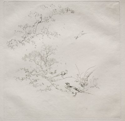 巴黎人服务哈维兰服务：雾号。 1875年1月1日。 作者 费利克斯·布拉克蒙德