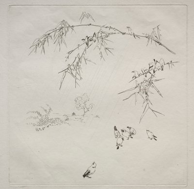 巴黎人服务哈维兰服务：雨号。 1875年10月。 作者 费利克斯·布拉克蒙德
