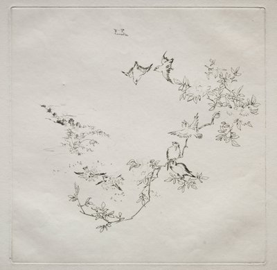 巴黎人服务哈维兰服务：日出号。 1875年12月12日。 作者 费利克斯·布拉克蒙德