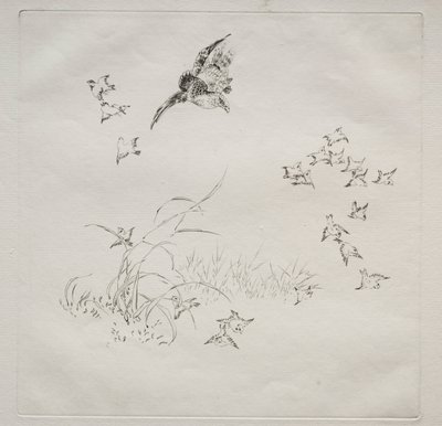 巴黎人服务哈维兰服务：恐怖号。 1875年4月4日。 作者 费利克斯·布拉克蒙德
