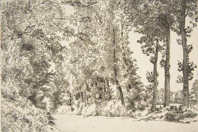 布鲁耶尔街，塞夫勒，1868年。 作者 费利克斯·布拉克蒙德