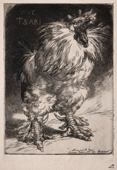 法国公鸡，1893年。 作者 费利克斯·布拉克蒙德