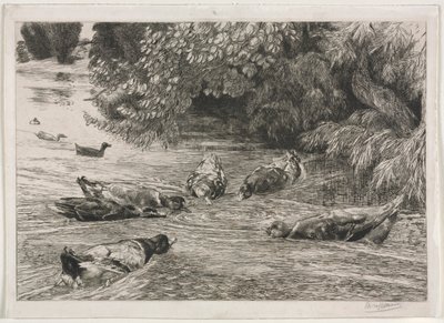 问号》，约1865年。 作者 费利克斯·布拉克蒙德