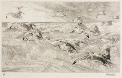 海鸥角c。 1880年。 作者 费利克斯·布拉克蒙德