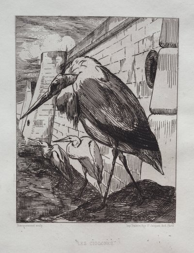 鹳鸟 作者 Cadart and Luquet, 巴黎