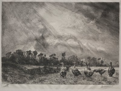 暴风云，1878-1887年。 作者 费利克斯·布拉克蒙德