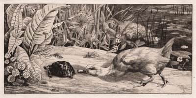 未知，1862年。 作者 费利克斯·布拉克蒙德
