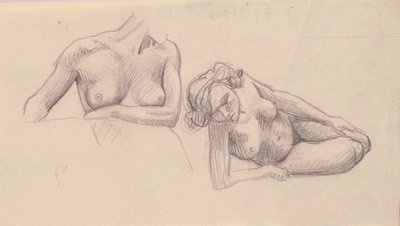 女性裸体的两项研究 作者 Felix Edouard Vallotton