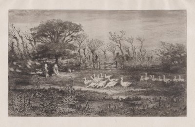 鹅，1860-98。 作者 菲利克斯·希拉勒·布霍特