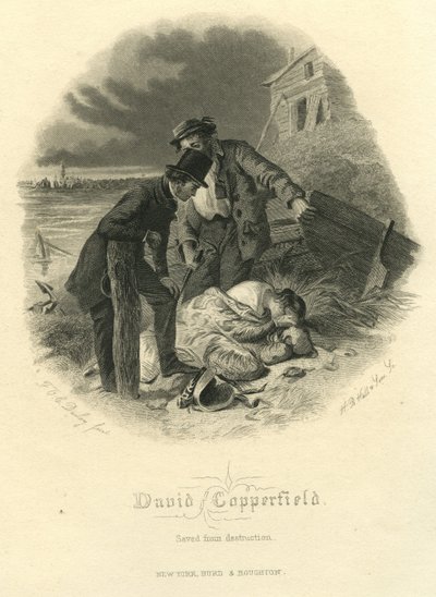 大卫科波菲尔：拯救破坏，由HB Hall und Sons雕刻，1867年 作者 费利克斯·奥克塔维斯·卡尔·达利