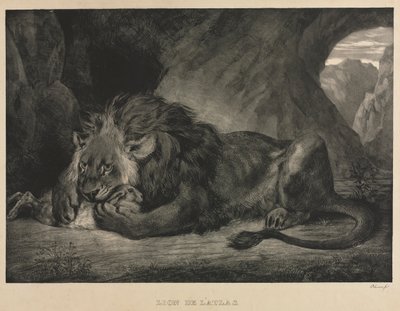 Lion de lAtlas，1829年。 作者 费迪南德·维克多·尤金·德拉克罗瓦