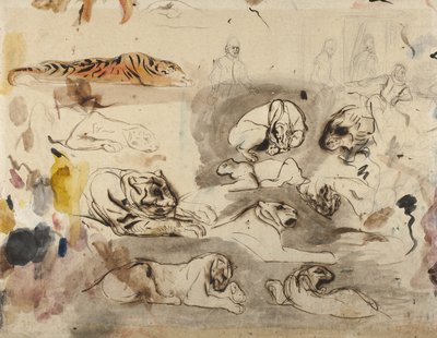 1828-29年的16世纪服饰中的虎与虎素描 作者 费迪南德·维克多·尤金·德拉克罗瓦
