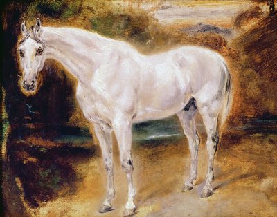 白马 作者 Ferdinand Victor Eugene Delacroix