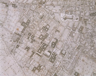 1731年佛罗伦萨地图 作者 费迪南多·鲁杰里