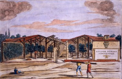 来自Giovanni Battista Ferrari的&39;Hesperides&39;的封闭果园，由Camillo Congio（1630年）雕刻，于1646年出版 作者 菲利波·加利亚里（Filippo Gagliardi）