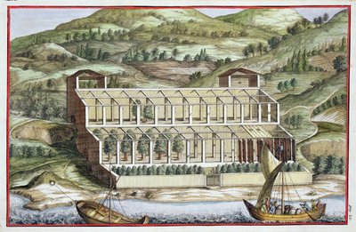 温室的结构，来自Giovanni Battista Ferrari的&39;Hesperides&39;，由Cammillo Congio（fl.1630）雕刻，1646年出版 作者 菲利波·加利亚里（Filippo Gagliardi）
