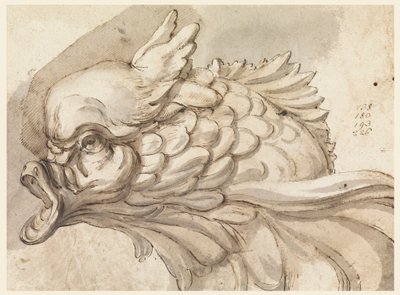 绘图，一只海豚的头，ca。 1775年 作者 菲利波·马基奥尼（Filippo Marchionni）