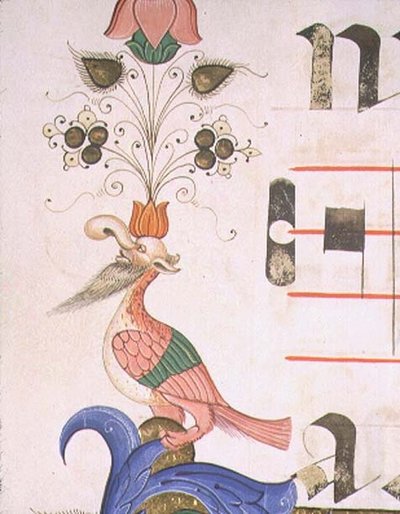 Missal 515 f.120v 带人头的怪鸟，来自1449年前执行的唱诗班书的装饰边框细节（牛皮纸）。 作者 Filippo di Matteo Torelli