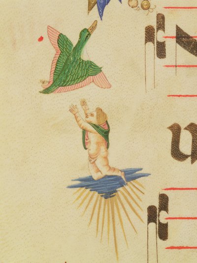 Missal 515 f.13v一个披着斗篷的小天使试图抓住一只飞鸟，装饰性的边框，来自一张合唱书的细节，在1449年之前执行的牛皮纸细节56721 作者 Filippo di Matteo Torelli