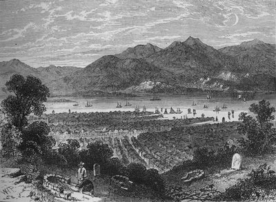 淘，c1880 作者 弗莱明