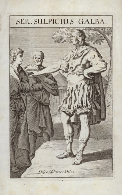 血肌酐Sulpicius 作者 佛兰芒学校