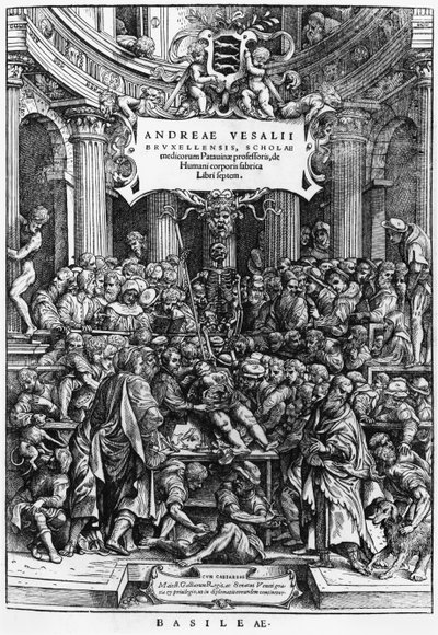 Andreas Vesalius（1514-64）在布鲁塞尔医学院的解剖学课程，De Humani Corporis Fabrica的主题，于1555年在巴塞尔出版（另见466697） 作者 佛兰芒学校