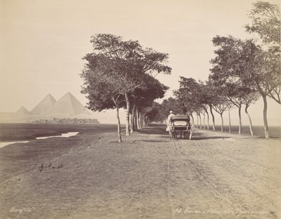 开罗。金字塔胡同，约1870年。 作者 菲利克斯邦菲尔斯